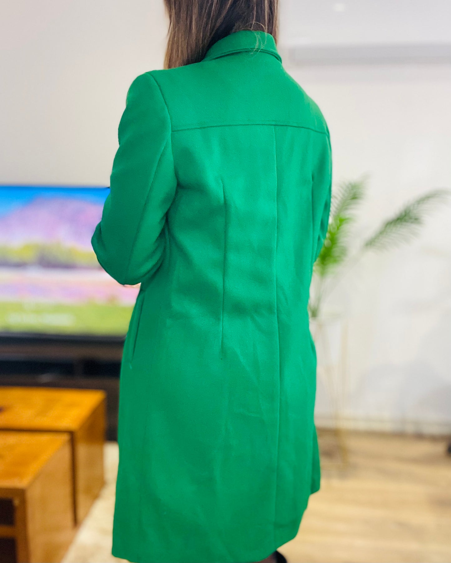 Abrigo Eliana Verde